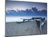 Oruwa (Outrigger Canoe) on Beach at Sunset, Negombo, North Western Province, Sri Lanka, Asia-Ian Trower-Mounted Photographic Print