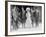 Orville, Wilbur, and Katherine Wright et al Photograph-Lantern Press-Framed Art Print