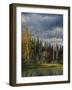 Orvis Pond-Kevin Spaulding-Framed Giclee Print