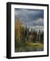 Orvis Pond-Kevin Spaulding-Framed Giclee Print