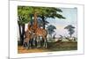 Oryx, 1860-null-Mounted Giclee Print