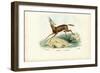 Oryx, 1863-79-Raimundo Petraroja-Framed Giclee Print