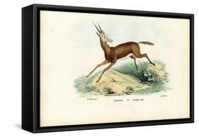 Oryx, 1863-79-Raimundo Petraroja-Framed Stretched Canvas