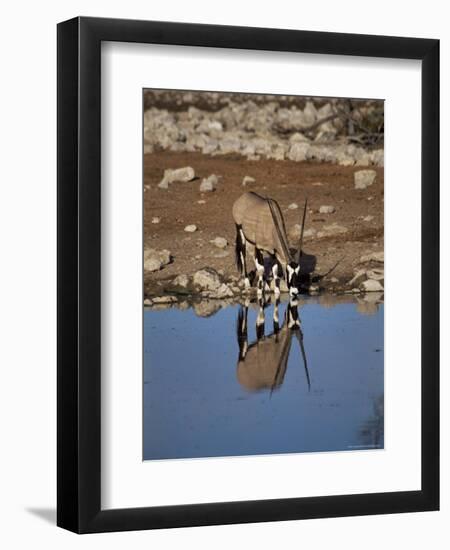 Oryx at Waterhole, Namibia, Africa-I Vanderharst-Framed Photographic Print