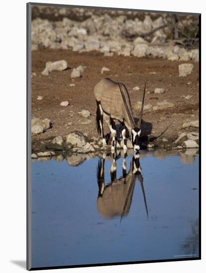 Oryx at Waterhole, Namibia, Africa-I Vanderharst-Mounted Photographic Print