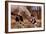 Oryx Drinking, Mount Etjo, 2019,-Eric Meyer-Framed Photographic Print