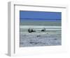 Oryx, Gemsbok, Oryx Gazella, Etosha National Park, Namibia, Africa-Thorsten Milse-Framed Photographic Print