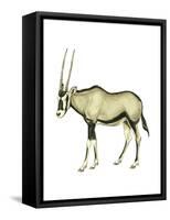 Oryx (Oryx Gazella), Mammals-Encyclopaedia Britannica-Framed Stretched Canvas