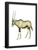 Oryx (Oryx Gazella), Mammals-Encyclopaedia Britannica-Framed Poster