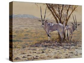 Oryx-Peter Blackwell-Stretched Canvas