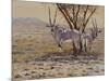 Oryx-Peter Blackwell-Mounted Art Print