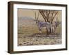 Oryx-Peter Blackwell-Framed Art Print