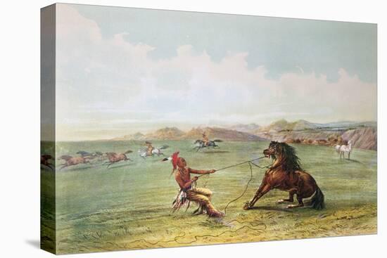 Osage Hunters Catching Wild Horses-George Catlin-Stretched Canvas