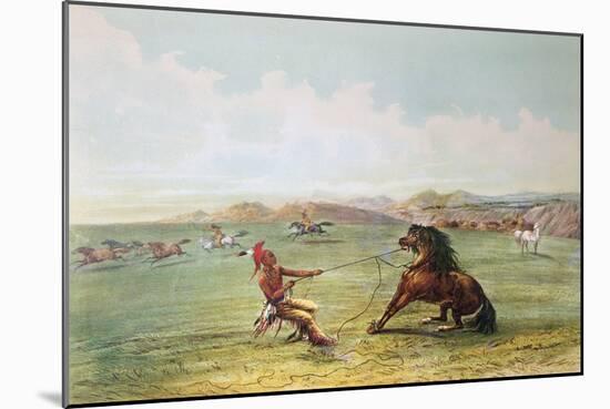 Osage Hunters Catching Wild Horses-George Catlin-Mounted Giclee Print