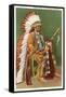 Osage Indian in Full Dress, Oklahoma-null-Framed Stretched Canvas