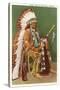 Osage Indian in Full Dress, Oklahoma-null-Stretched Canvas