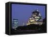 Osaka Castle and City Skyline, Night View, Osaka, Honshu, Japan-Steve Vidler-Framed Stretched Canvas