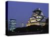 Osaka Castle and City Skyline, Night View, Osaka, Honshu, Japan-Steve Vidler-Stretched Canvas