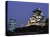 Osaka Castle and City Skyline, Night View, Osaka, Honshu, Japan-Steve Vidler-Stretched Canvas