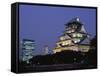 Osaka Castle and City Skyline, Night View, Osaka, Honshu, Japan-Steve Vidler-Framed Stretched Canvas