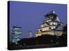 Osaka Castle and City Skyline, Night View, Osaka, Honshu, Japan-Steve Vidler-Stretched Canvas