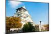 Osaka Castle Autumn in Kansai Japan-vichie81-Mounted Photographic Print