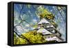 Osaka Castle in Osaka, Japan.-NicholasHan-Framed Stretched Canvas