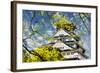 Osaka Castle in Osaka, Japan.-NicholasHan-Framed Photographic Print