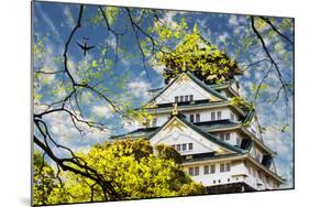 Osaka Castle in Osaka, Japan.-NicholasHan-Mounted Photographic Print