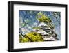 Osaka Castle in Osaka, Japan.-NicholasHan-Framed Photographic Print