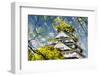 Osaka Castle in Osaka, Japan.-NicholasHan-Framed Photographic Print