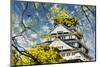 Osaka Castle in Osaka, Japan.-NicholasHan-Mounted Photographic Print