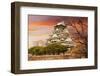 Osaka Castle, One of the Famous Castle in Japan, Asia.-elwynn-Framed Photographic Print