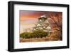 Osaka Castle, One of the Famous Castle in Japan, Asia.-elwynn-Framed Photographic Print