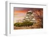 Osaka Castle, One of the Famous Castle in Japan, Asia.-elwynn-Framed Photographic Print