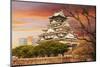 Osaka Castle, One of the Famous Castle in Japan, Asia.-elwynn-Mounted Photographic Print