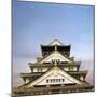 Osaka Castle, One of the Famous Castle in Japan, Asia.-elwynn-Mounted Photographic Print