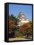 Osaka Castle, Osaka, Japan-Adina Tovy-Framed Stretched Canvas