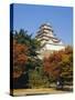 Osaka Castle, Osaka, Japan-Adina Tovy-Stretched Canvas