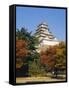 Osaka Castle, Osaka, Japan-Adina Tovy-Framed Stretched Canvas