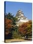 Osaka Castle, Osaka, Japan-Adina Tovy-Stretched Canvas