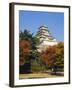 Osaka Castle, Osaka, Japan-Adina Tovy-Framed Photographic Print