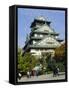 Osaka Castle, Osaka, Japan-Adina Tovy-Framed Stretched Canvas