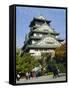 Osaka Castle, Osaka, Japan-Adina Tovy-Framed Stretched Canvas