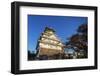 Osaka Castle, Osaka, Kansai, Japan-Christian Kober-Framed Photographic Print