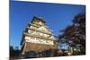 Osaka Castle, Osaka, Kansai, Japan-Christian Kober-Mounted Photographic Print