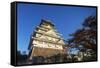 Osaka Castle, Osaka, Kansai, Japan-Christian Kober-Framed Stretched Canvas