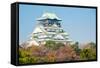 Osaka Castle with Autumn Garden in Kansai Japan-vichie81-Framed Stretched Canvas