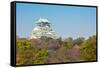 Osaka Castle with Autumn Garden in Kansai Japan-vichie81-Framed Stretched Canvas