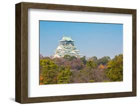 Osaka Castle with Autumn Garden in Kansai Japan-vichie81-Framed Photographic Print